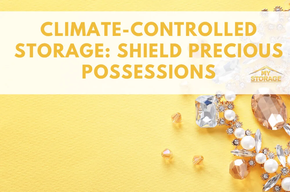 Climate-Controlled Storage: Shield Precious Possessions