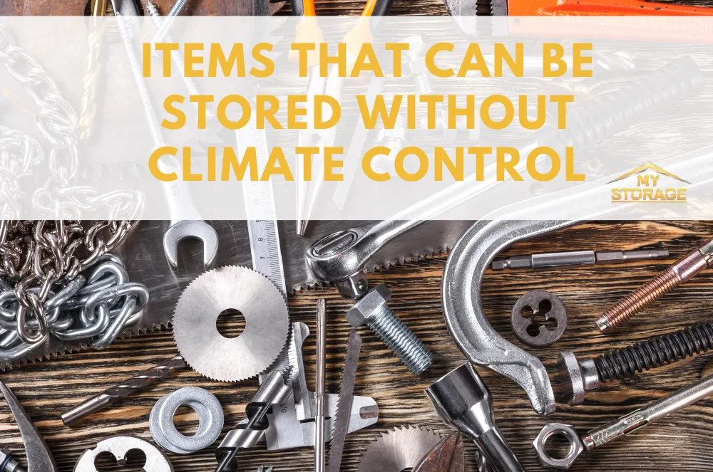 Items That Can Be Stored Without Climate Control