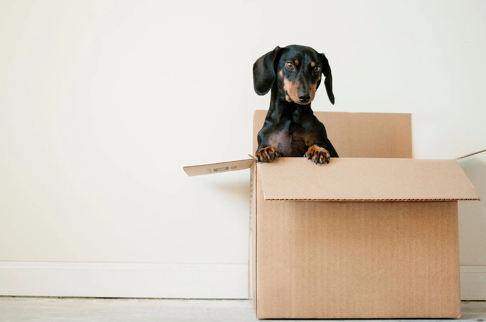 How To Protect Your Items From Dust and Damage When Moving?